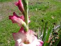 Home2011 248